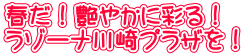 春だ！艶やかに彩る！ ラゾーナ川崎プラザを！